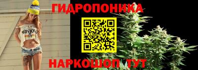 гидра Славгород